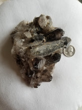 Load image into Gallery viewer, Smoky Quartz Cluster