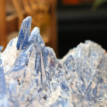 Load image into Gallery viewer, Blue Kyanite Specimen
