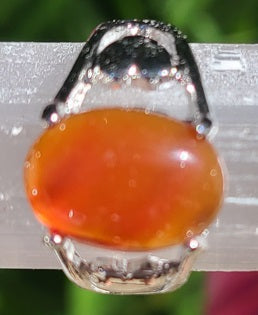 Carnelian Ring with Stainless Steel Finish
