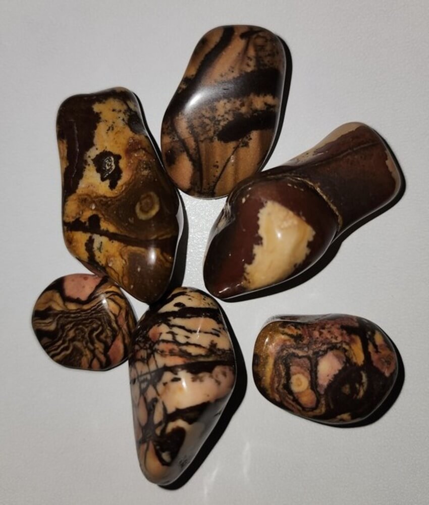 Nguni Jasper