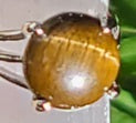 Tiger Eye Ring with Stainless Steel Finish