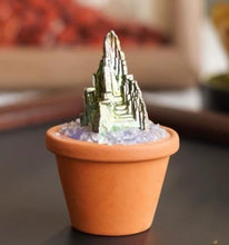 Load image into Gallery viewer, Gemstone Plant
