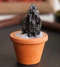 Load image into Gallery viewer, Gemstone Plant
