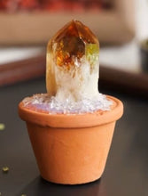 Load image into Gallery viewer, Gemstone Plant
