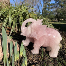 Load image into Gallery viewer, Rose Quartz Elephant
