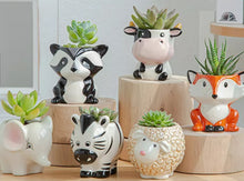 Load image into Gallery viewer, Succulent Animal Planters Ceramic
